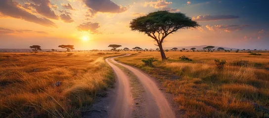 Foto op Aluminium Sunset in savannah of Africa with acacia trees, Safari in Serengeti of Tanzania. AI generated illustration © Or