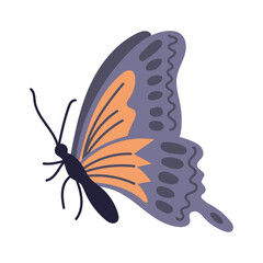 Hand drawn colorful butterfly in flat style isolated on white background. Spring concept. Ideal for decoration, stickers, greetings, banner and background