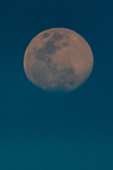  Fondo de luna llena con fondo azul en pleno atardecer