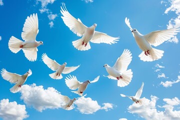 Obraz premium A Flock of White Birds Flying Through a Blue Sky