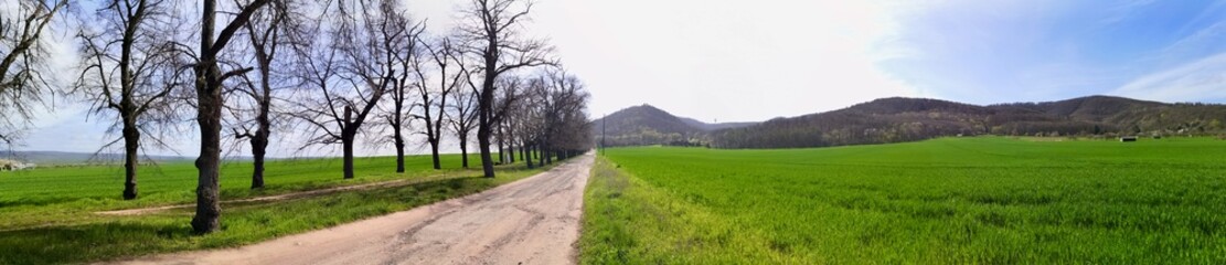 Obraz premium Das Kyffhäuser Gebirge von Kelbra aus gesehen