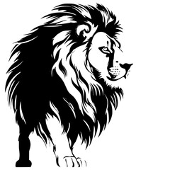 lion black and white