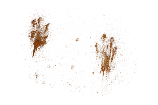 little dog footprints isolated transparency background. - Powered by Adobe