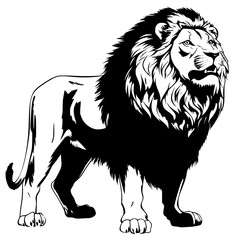 lion vector