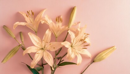 spring lily flowers on pink pastel background top view in flat lay style