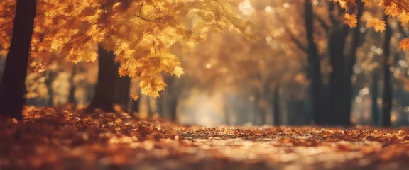 Zelfklevend Fotobehang Autumn forest path. maple leaves in fall city park. Nature scene in Bright light sun Sunrise © Adi