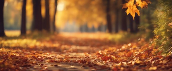 Autumn forest path. maple leaves in fall city park. Nature scene in Bright light sun Sunrise
