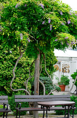 Fototapete bei efototapeten.de bestellen   