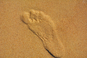 odcisk stopy na piasku, footprints in the sand, foot imprint in sand on the beach in summer
 - obrazy, fototapety, plakaty