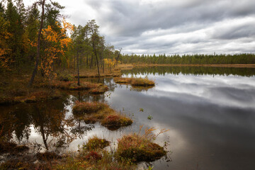 Autumn Landscape with swamp and pines. Arctic. Russia