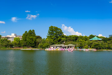 東京都 夏の上野公園、不忍池