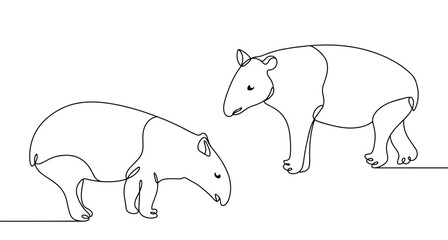 Pair of tapirs