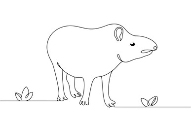 Tapir standing