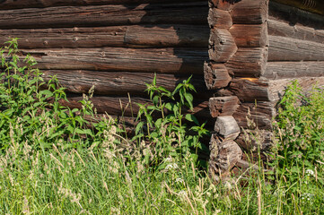 Obraz premium Corner of old weathered log house. Tall green grass near the wall, sunny summer day