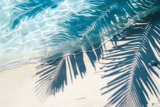 Photo of palm leaves from above casting shadows on clean and clear sea water and sandy beach. Summer background