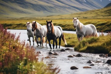 Several horses walking along a stream, in the style of delicate Icelandic landscape

