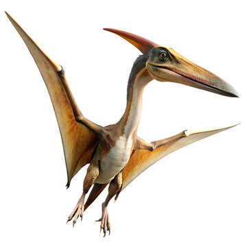 recommend clip art: a dinosaur pteranodon