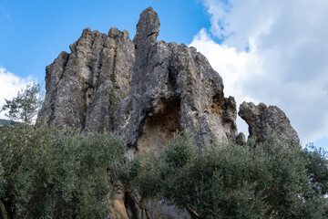View on natural Monument Campo Soriano and olive trees, Lazio, Italy