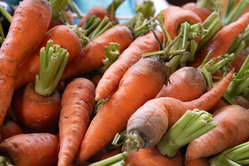 Fresh sweet organic carrots roots on Sunday farmers market on Tenerife, Canary islands, Spain, close up - obrazy, fototapety, plakaty