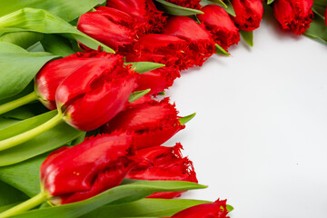 Colorful bouquet of red tulip, celebration card, home decoration or wallpaper concept
