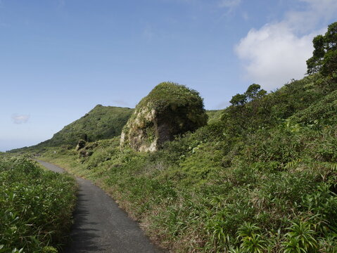 road from savane a mulets to col de l' echelle near grande soufriere volcano, guadeloupe. Volcanic landscape and blue sky background. 