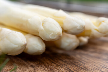 Spring season, new harvest of Dutch, German white asparagus, bunch of raw washed and pilled white asparagus and green grass