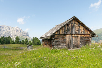Obraz premium Beautiful summer view on a wooden mountain hut. Idyllic scenery, Alpine meadow in the foreground, rocky Italian mountains in the background. Sunny summer day. Villnöß, Villnöss Valley, South Tyrol.