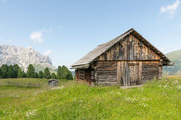 Beautiful summer view on a wooden mountain hut. Idyllic scenery, Alpine meadow in the foreground, rocky Italian mountains in the background. Sunny summer day. Villnöß, Villnöss Valley, South Tyrol.