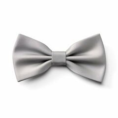 Gray Bow Tie isolated on white background
