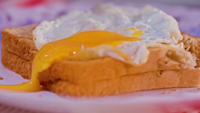 breakfast poached Egg and toasted bread 