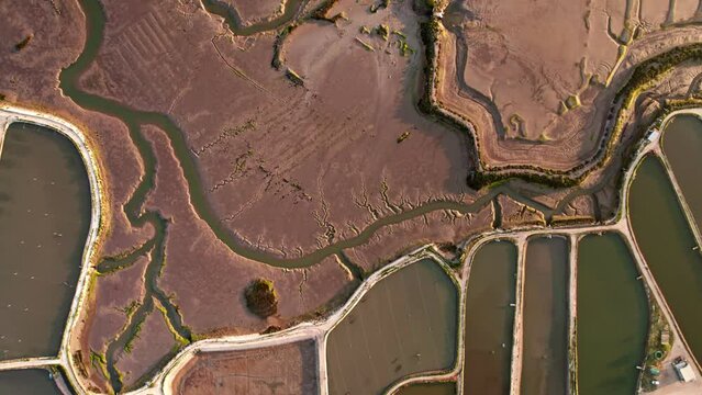 An overhead shot capturing the intricate patterns and structures of aquaculture ponds with surrounding water channels.