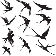Swallow Birds Flying Silhouettes 