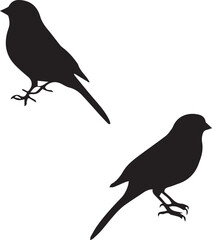 Set of Birds Black Silhouette on white background