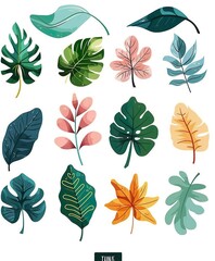 Collection of leaves - 769977795