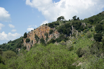 View of the natural area of Parco Mariani, Sardinia, Meilogu, Bonorva, Parco Mariani. Bonorva. SS,...