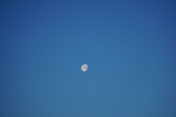 Glowing moon against an early morning, clear blue sky. Waning Gibbous. 