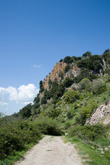 View of the natural area of Parco Mariani, Sardinia, Meilogu, Bonorva, Parco Mariani. Bonorva. SS,...