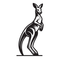 Australian kangaroo animal as outline vector icon, Set of kangaroo silhouettes in various poses. Vector iIlustration isolated on the white background, Lies, stands, sits, jumps. realistic  Vector 