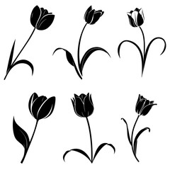 Vector rose silhouette flower illustration set and art