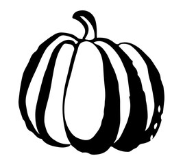 Pumpkin drawing hand painted with ink brush. Png clipart isolated on transparent background