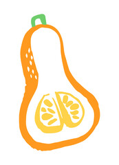 Butternut Squash drawing hand painted with ink brush. Png clipart isolated on transparent background