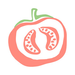 Tomato drawing hand painted with ink brush. Png clipart isolated on transparent background