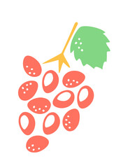 Grapes hand painted with ink brush. Png clipart isolated on transparent background