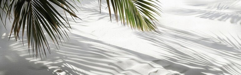Beautiful abstract background concept banner summer vacation at the beach. Top view of tropical leaf shadows. The shadows of palm leaves on the white sand.