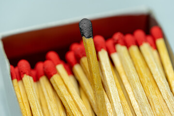 Set of several defocused black headed matchsticks with one green-headed matchstick in evidence.