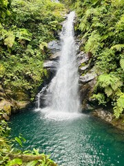 waterfall in the forest