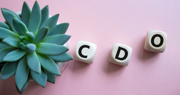 CDO - Collateralized Debt Obligation symbol. Wooden cubes with word CDO. Beautiful pink background with succulent plant. Business and Collateralized Debt Obligation concept. Copy space.