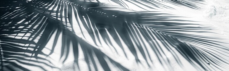 Beautiful abstract background concept banner summer vacation at the beach. Top view of tropical leaf shadows. The shadows of palm leaves on the white sand.