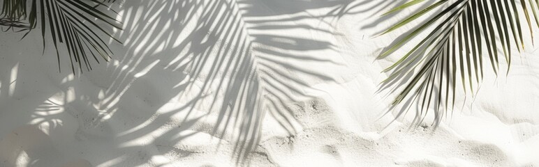 Beautiful abstract background concept banner summer vacation at the beach. Top view of tropical leaf shadows. The shadows of palm leaves on the white sand.