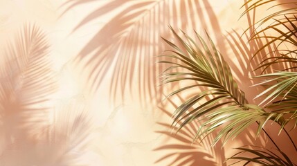 Fototapeta na wymiar Beautiful abstract background concept banner summer vacation at the beach. Top view of tropical leaf shadows. The shadows of palm leaves on the white sand.